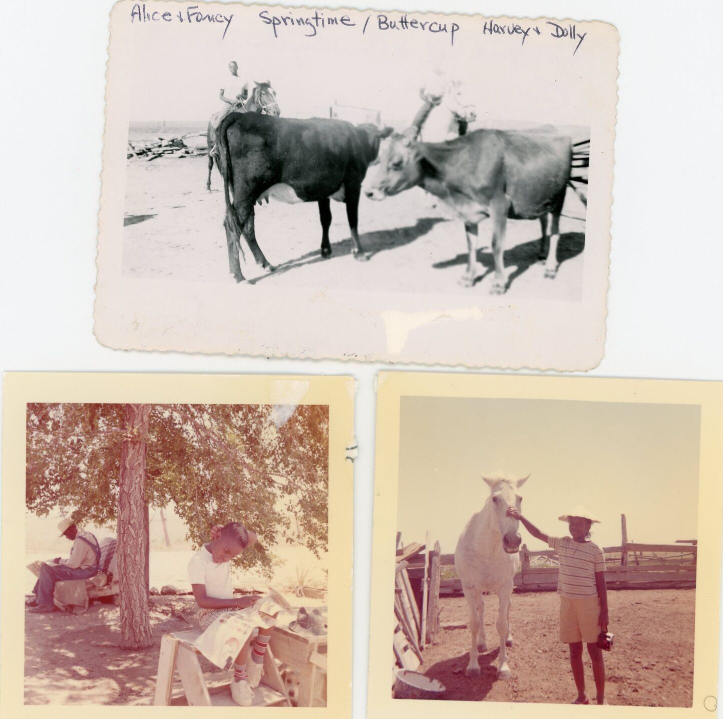 022721-news-drought-past0011.JPG